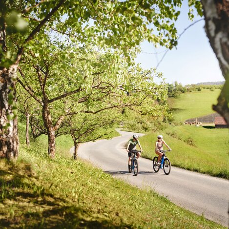 Landgut am Pößnitzberg | © Michael Königshofer | © Landgut am Pößnitzberg | © Michael Königshofer