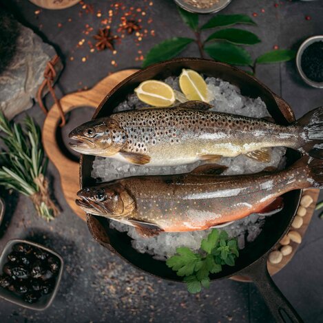 Regionale Lieferketten, Ausseer Saibling | © Karl Steinegger