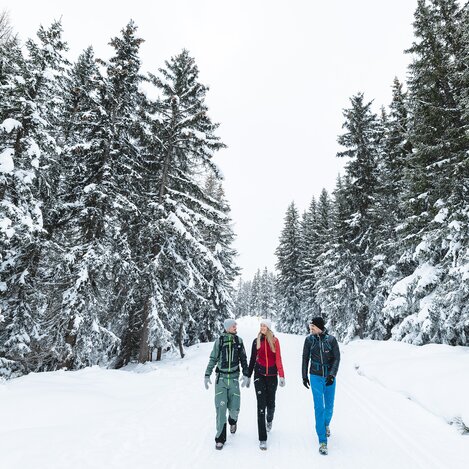 © Mathäus Gartner | © © Mathäus Gartner