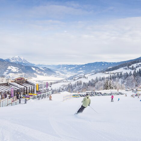 © Höflehner Harald Steiner | Photographer: Harald Steiner | © Höflehner Harald Steiner