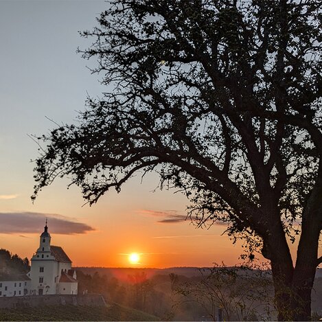 © Landgut Riegerbauer