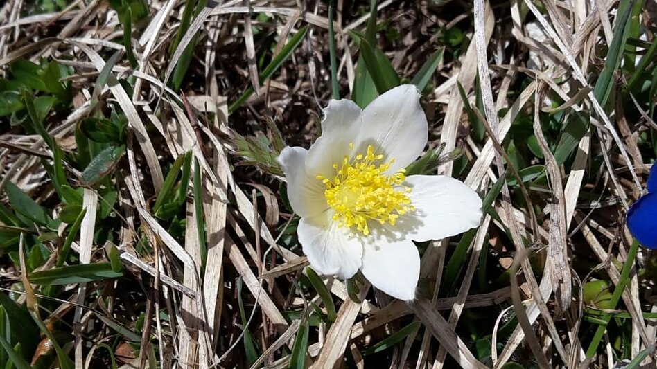  - Impression #2.2 | © © Fotos von Michael Flechl