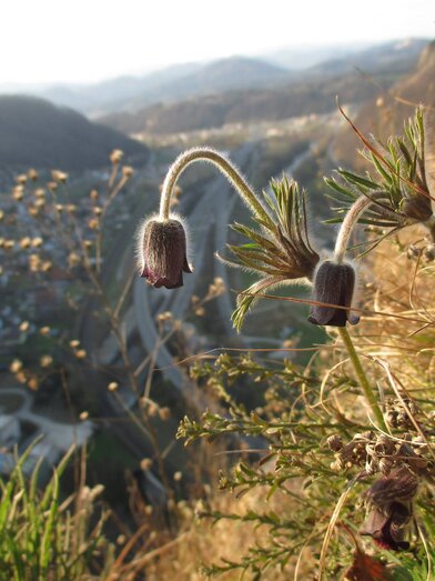 © © Fotos von Michael Flechl