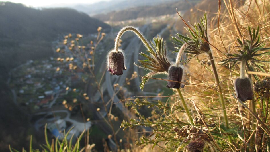  - Impression #2.3 | © © Fotos von Michael Flechl