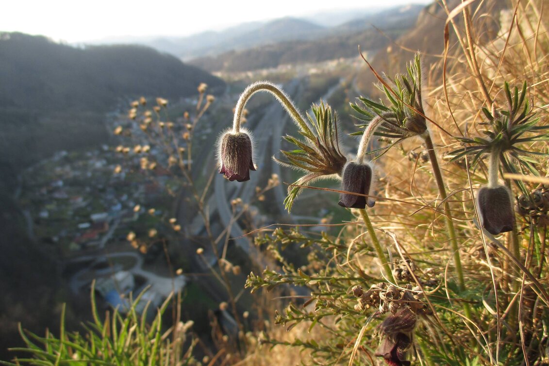 © Fotos von Michael Flechl | © © Fotos von Michael Flechl