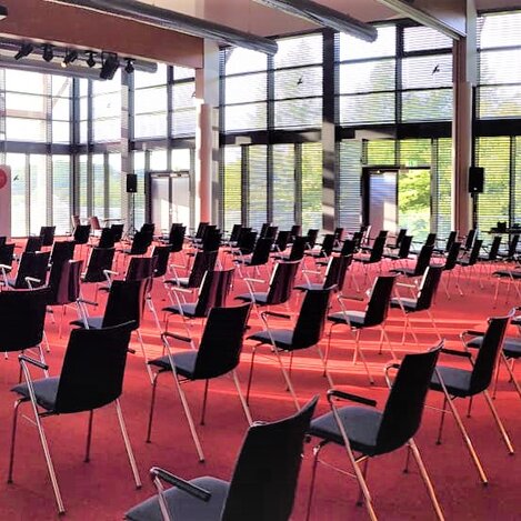 Zeder: Kinobestuhlung