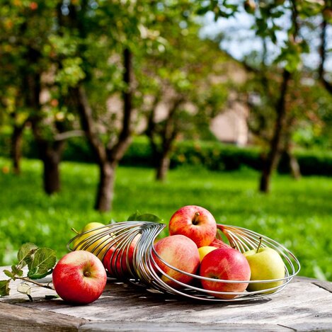 Apfelgarten | © Bergmann | © Bergmann