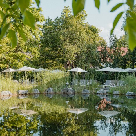 Naturteich | © CM Visuals  | © CM Visuals 