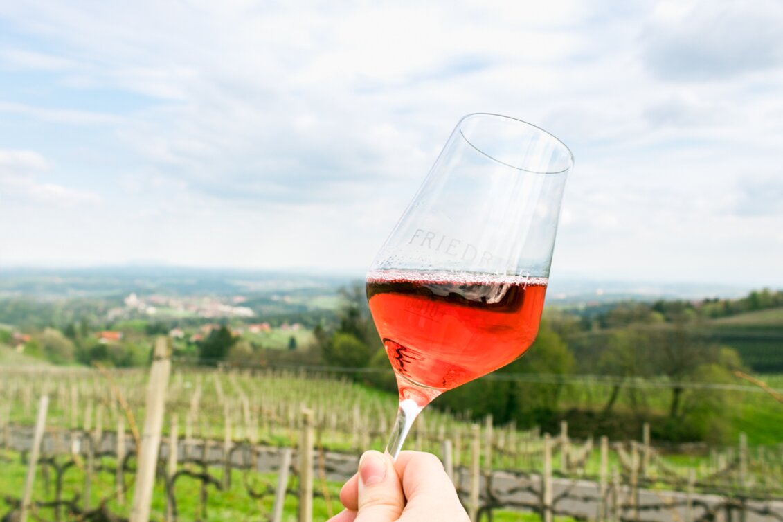 Schilcherweingut Friedrich Schilcher im Glas - Stainzerhof | © Schilcherweingut Friedrich | © Schilcherweingut Friedrich