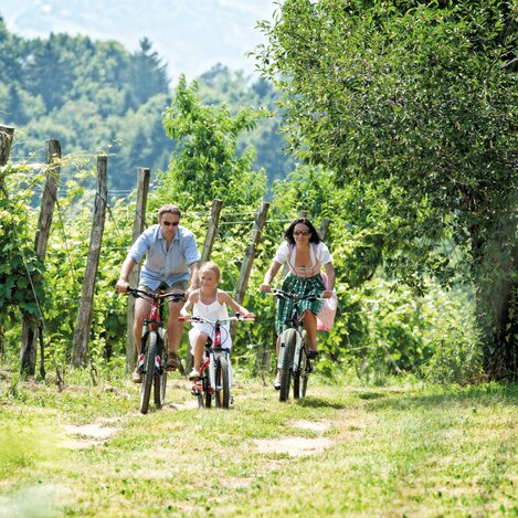 Radfahren | © Karin Bergmann | © Karin Bergmann