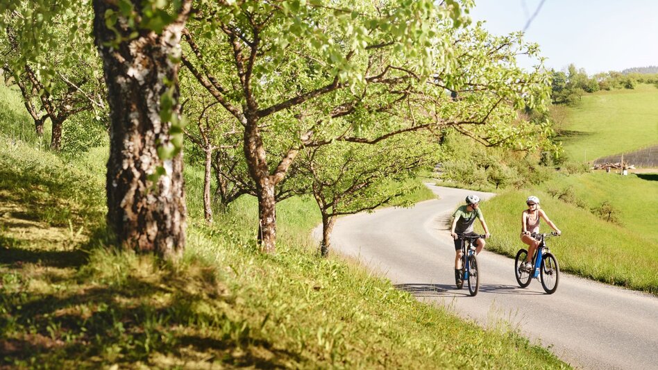 E-Bike Tour | © Michael Königshofer