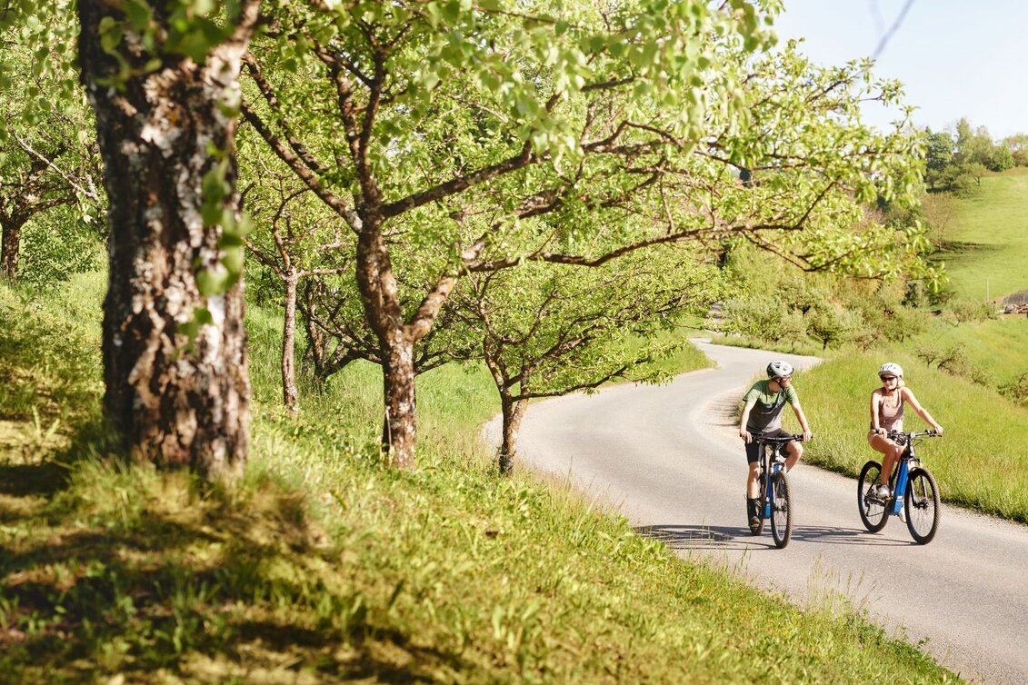 E-Bike Tour | © Michael Königshofer | © Michael Königshofer