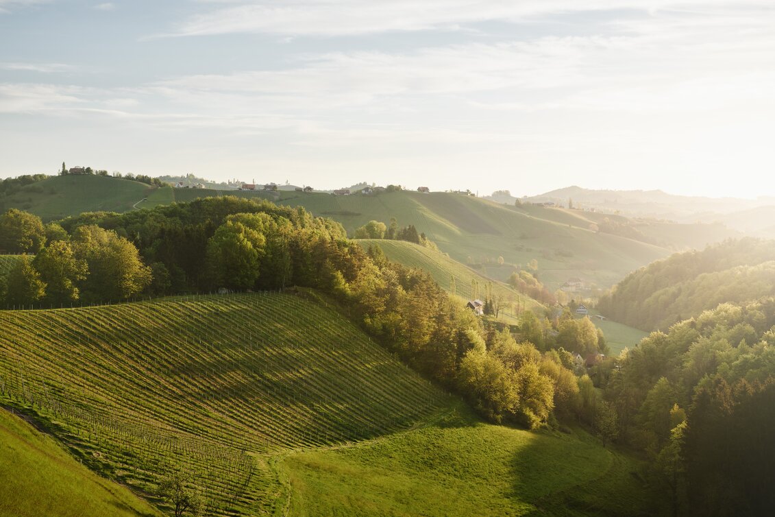 Landschaft | © KOENIGSHOFER MICHAEL | MICHAEL_KOENIGSHOFER