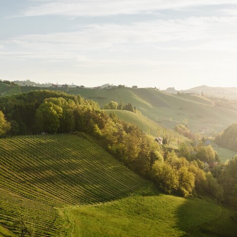 Landschaft | © KOENIGSHOFER MICHAEL | MICHAEL_KOENIGSHOFER