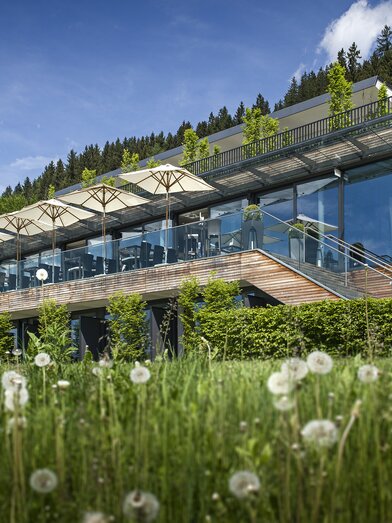 © Tauroa | Philip Platzer