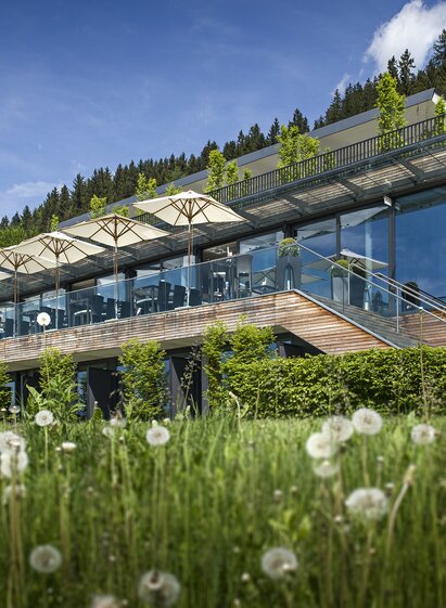 © Tauroa | Philip Platzer