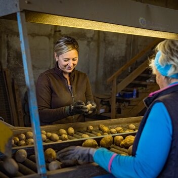 Ennstaler Erdäpfel | © Netzwerk Kulinarik/wildbild.at | Wild & Team Fotoagentur GmbH