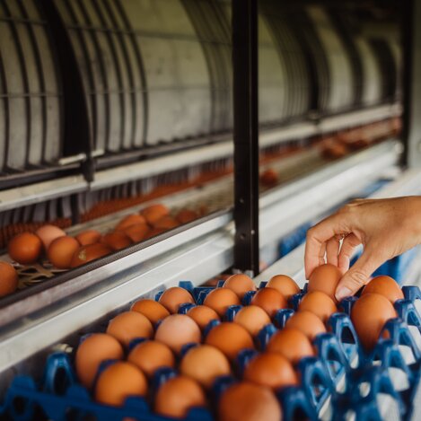 Landgut | © Richard Schabetsberger Photography | Richard Schabetsberger