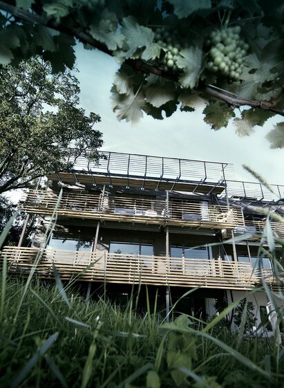 Weingartenhotel | Croce&Wir, Mantscha 160, 8052 Graz - Austria | © Croce&Wir, Mantscha 160, 8052 Graz - Austria