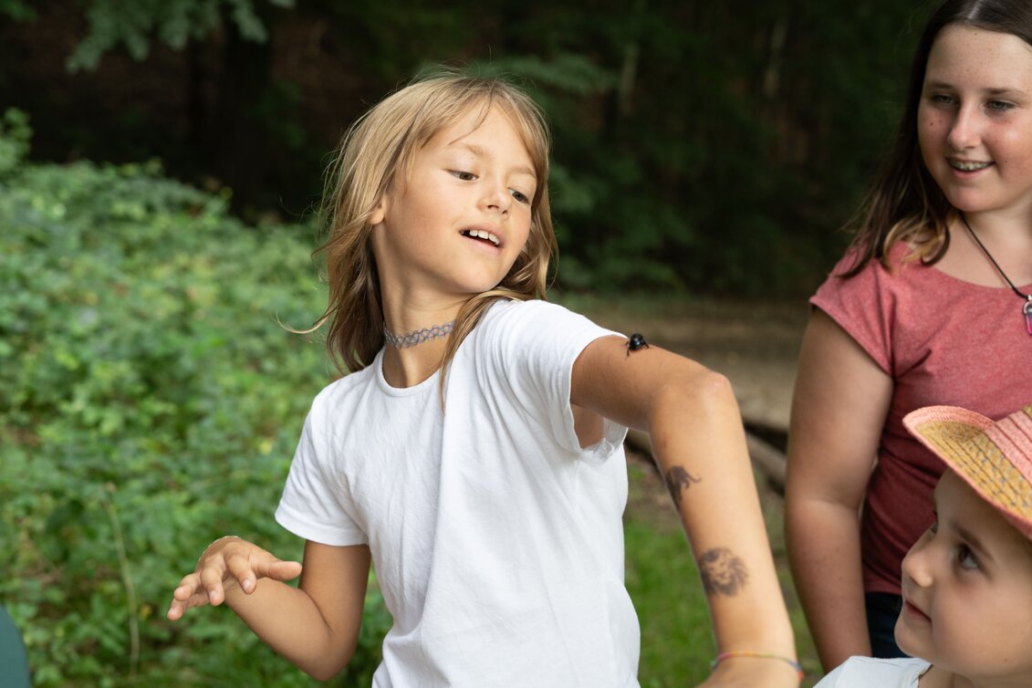 PackageIm Reich der Artenvielfalt - Naturwelten Steiermark