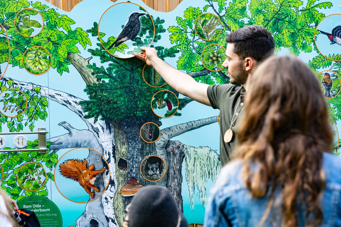 PackageRaus in die Natur - Naturwelten Steiermark