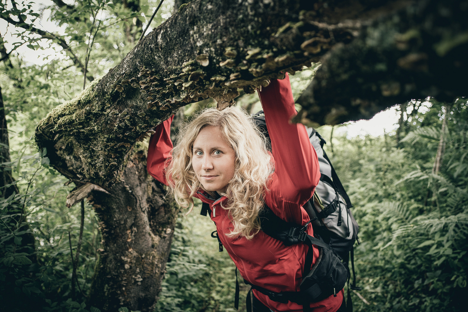 © Nationalpark Gesäuse | Stefan Leitner