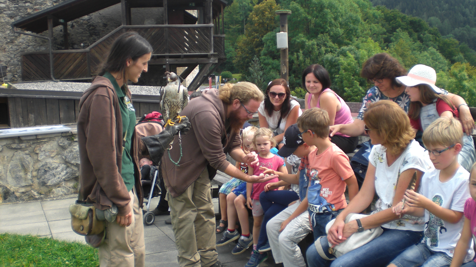 Gruppe bei Greifvogelschau