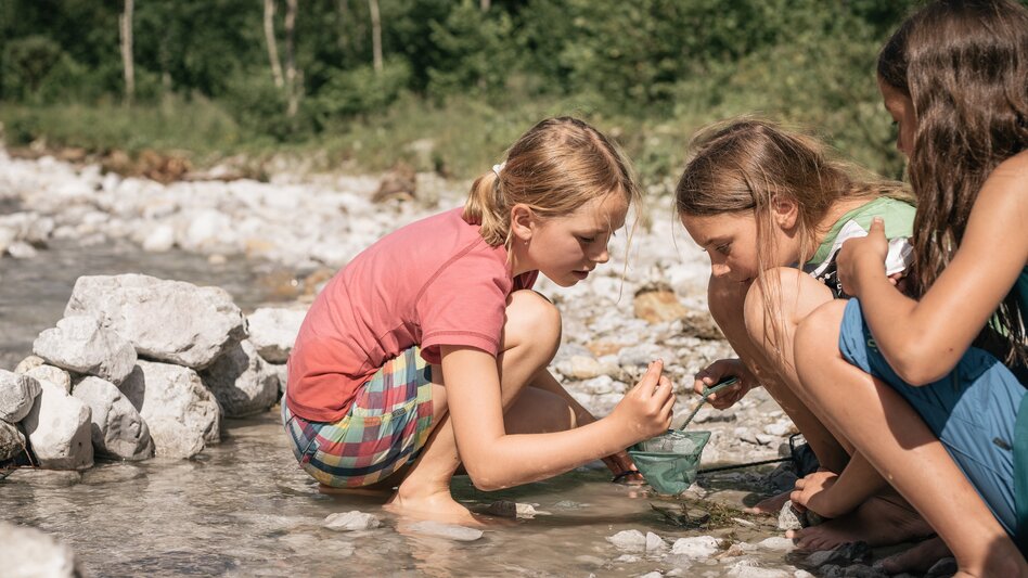 Nationalpark erforschen - Kinder im Flussbett | © Nationalpark Gesäuse
