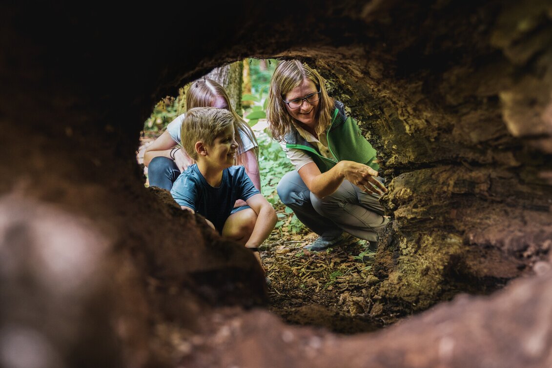PackageVia ferrata taster tour - Best Adventure Company