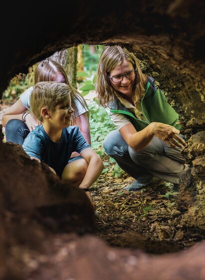 © Nationalpark Gesäuse GmbH | Stefan Leitner