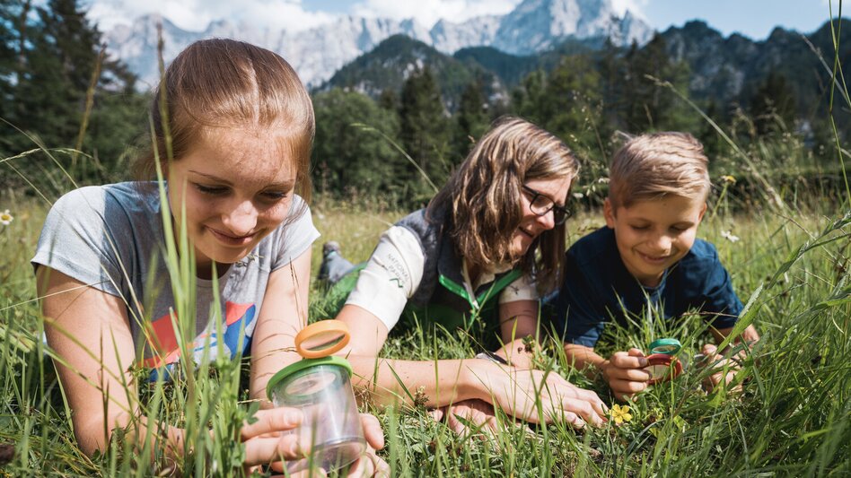 Weidendom Umgebung Nationalpark Gesäuse | Stefan Leitner | © Stefan Leitner