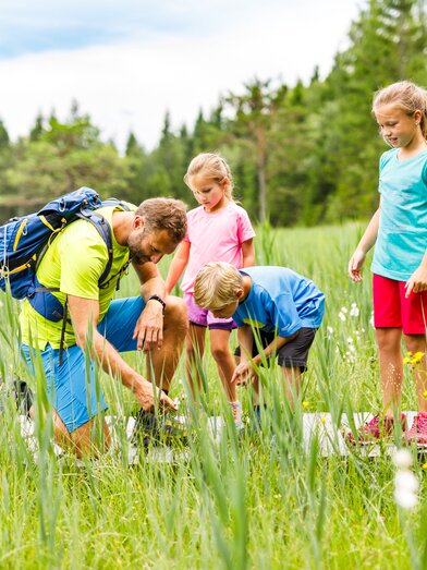 Moorwanderung | Mediadome | © Naturpark Zirbitzkogel-Grebenzen