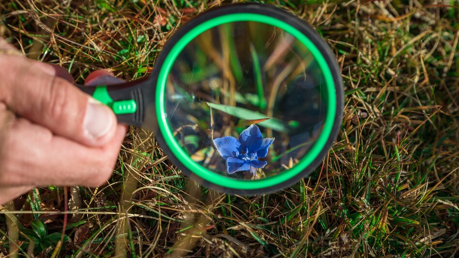 Naturpark-Forscher - Blume durch Lupe | © TVB Naturpark Zirbitzkogel-Grebenzen