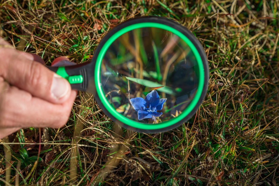 Naturpark-Forscher | © TVB Naturpark Zirbitzkogel-Grebenzen | Mediadome | © TVB Naturpark Zirbitzkogel-Grebenzen