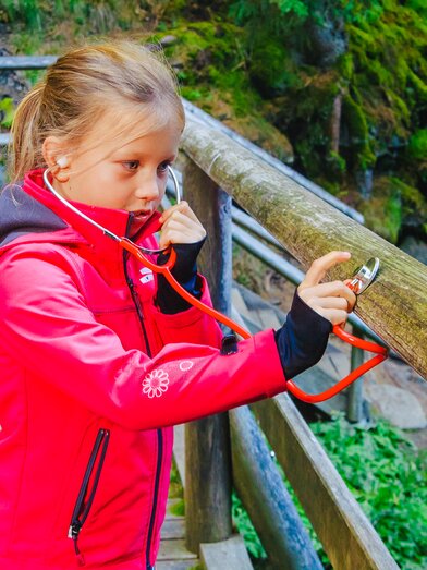 Graggerschlucht | Mediadome | © TVB Naturpark Zirbitzkogel-Grebenzen