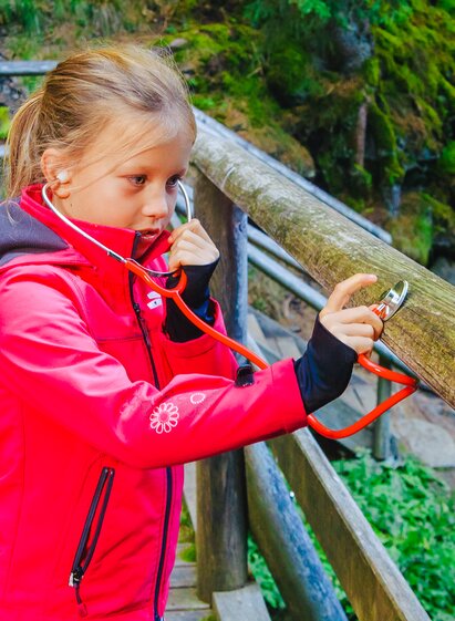Graggerschlucht | © TVB Naturpark Zirbitzkogel-Grebenzen | Mediadome | © TVB Naturpark Zirbitzkogel-Grebenzen