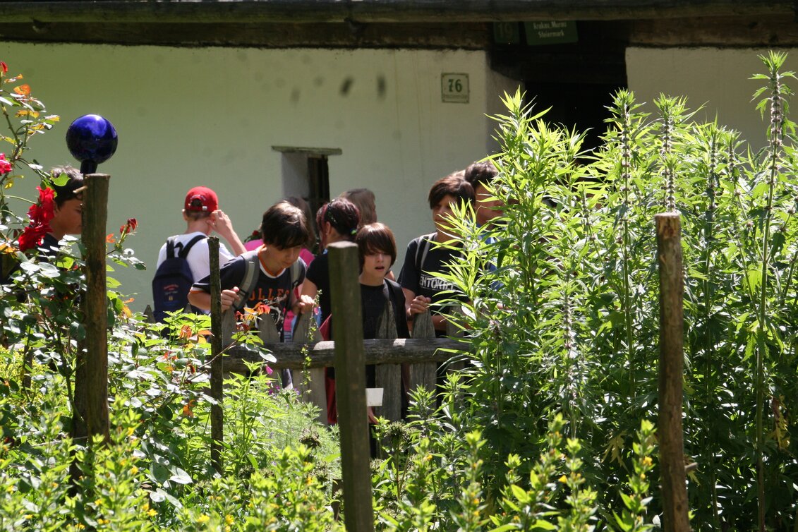 PackageDiscovering the mysterious - Austrian Open-Air Museum Stübing