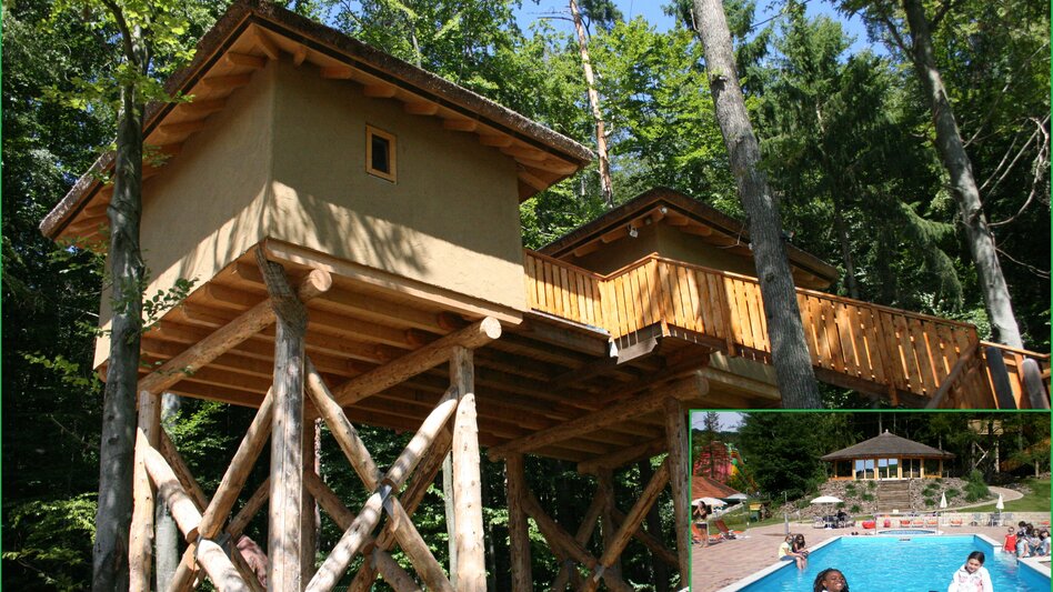 Baumhaus Afrika und Poolanlage