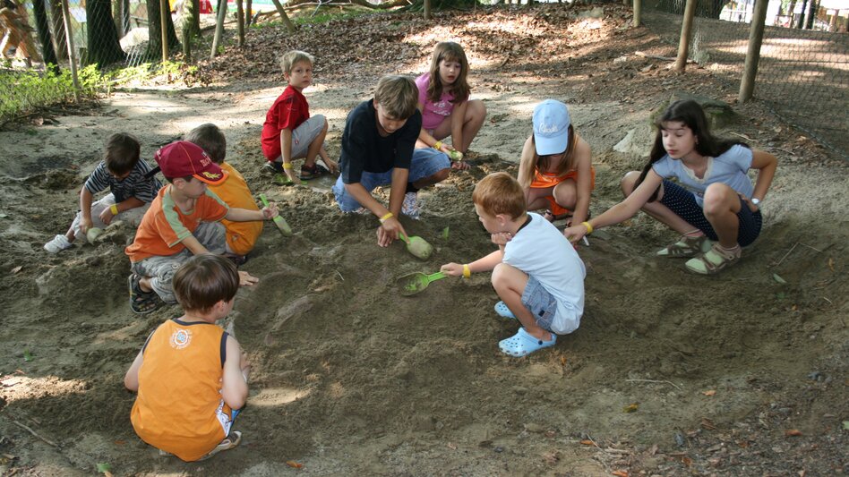 Kinder beim Graben mit kleinen Schaufeln im Park