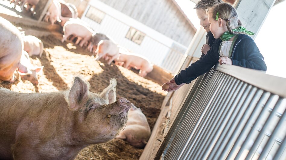 Kinder bei der Stallbesichtigung