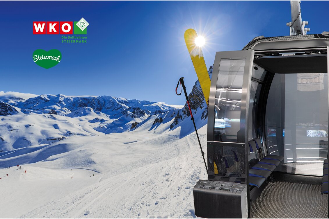 Faltdisplay_wko.indd