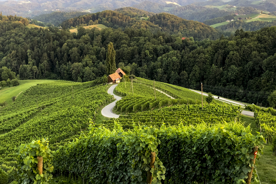 die "Herzerlstraße"  auf slowenischer Seite der Südsteiermark | © Steiermark Tourismus / Martina Traisch