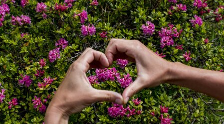 © Steiermark Tourismus / ikarus.cc | Tom Lamm