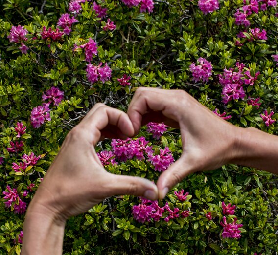 © Steiermark Tourismus / ikarus.cc | Tom Lamm