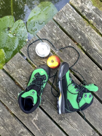 Wanderstillleben in Waisenegg mit Steiermark-Wanderschuh von Dachstein (Oststeiermark) | © Steiermark Tourismus / Julia Maierhofer | Steirische Tourismus GmbH