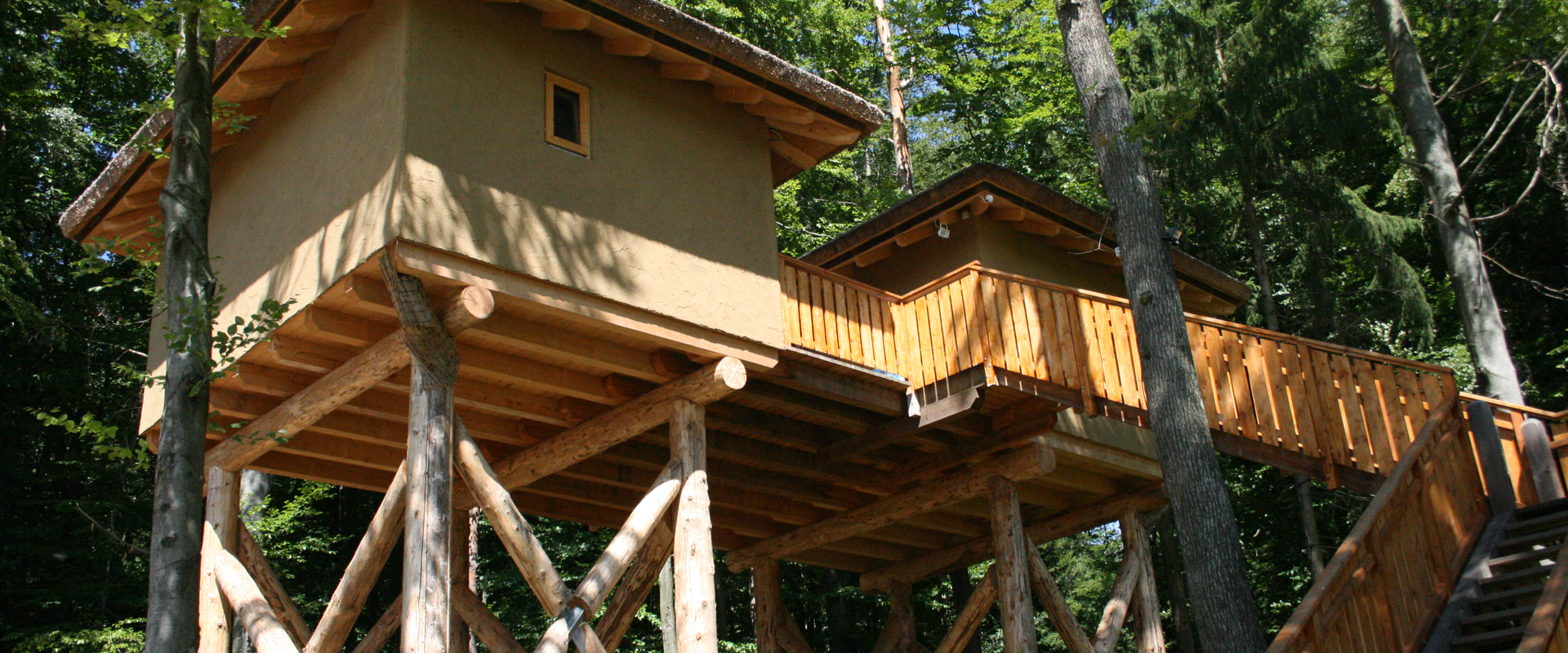 Baumhaus Afrika im Styrassic Park | © Styrassic Park GmbH | Achim Schmidt