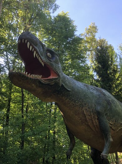 T-Rex | Mag. Markus Ulrich | © Styrassic Park
