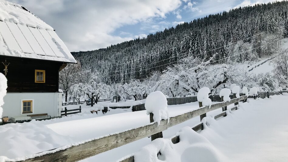  - Impression #2.7 | © Pension Zechnerhof