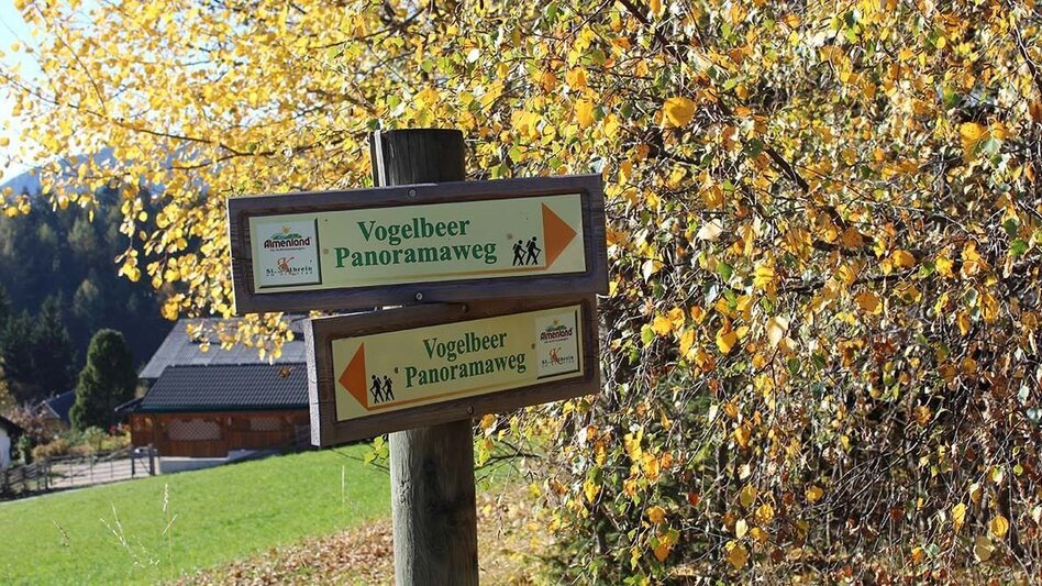 Theme path Rowanberry Panorama Path - Touren-Impression #2.2 | © Oststeiermark Tourismus