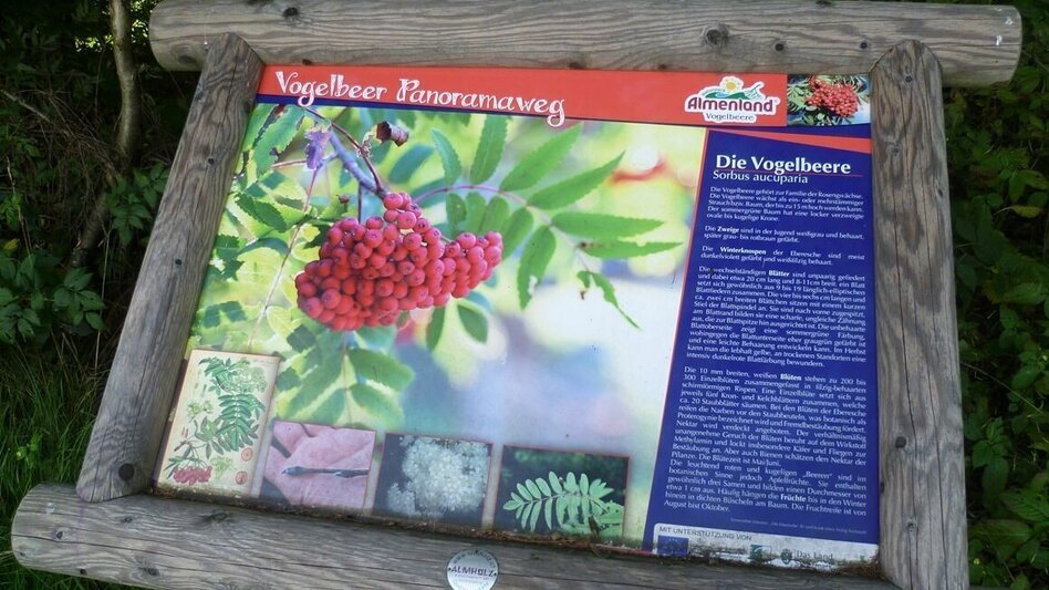 Theme path Rowanberry Panorama Path - Touren-Impression #2.4 | © Oststeiermark Tourismus